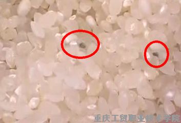 科普园地——世界公认的食品中三大致癌物质是什么?主要存在于哪些地方?